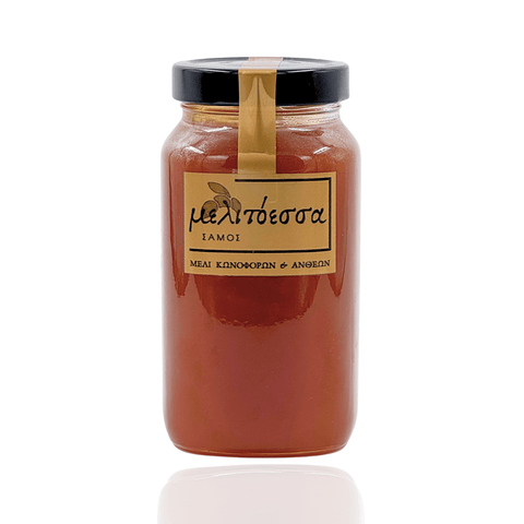 Best Μελιτοέσσα – Pine Honey from Samos Island 950g Online - Antigonis Deli Concept
